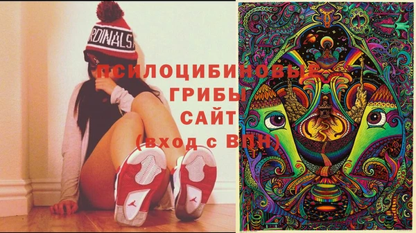 гидра Балабаново